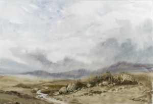 Pluie sur les monts de Wicklow, col.privée
